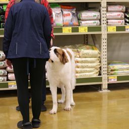 photograph by PeterW